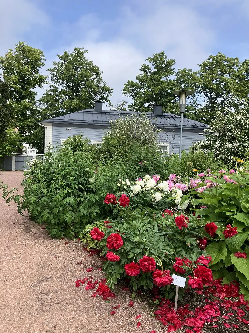 ヘルシンキ大学植物園 Kaisaniemi Botanic Garden - University of Helsinki