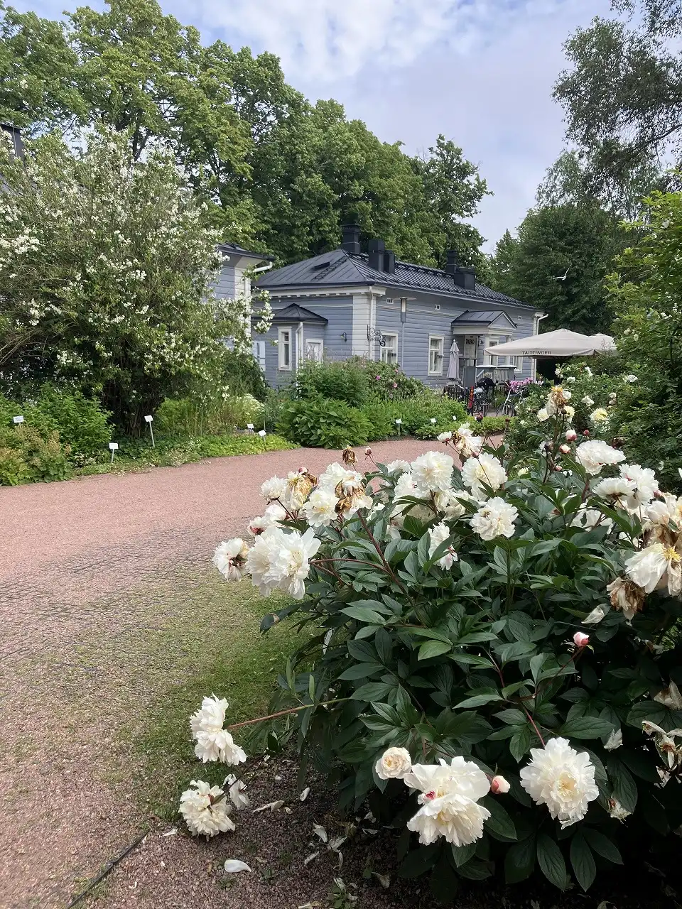 ヘルシンキ大学植物園 Kaisaniemi Botanic Garden - University of Helsinki