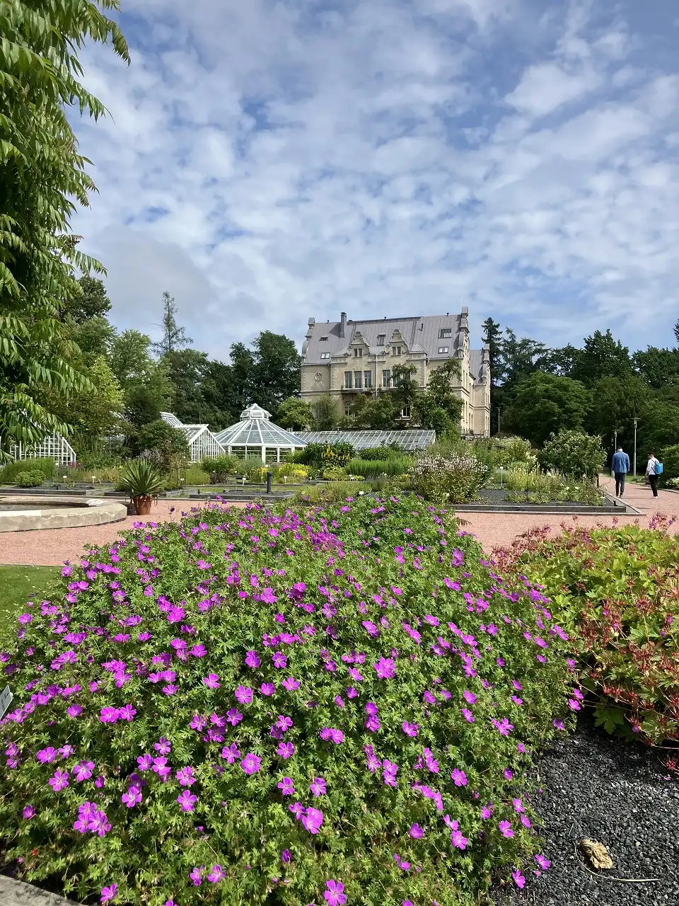 ヘルシンキ大学植物園 Kaisaniemi Botanic Garden - University of Helsinki