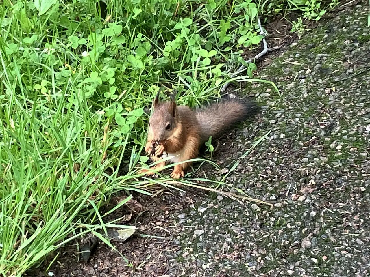 リンナンマキ遊園地 Linnanmäki