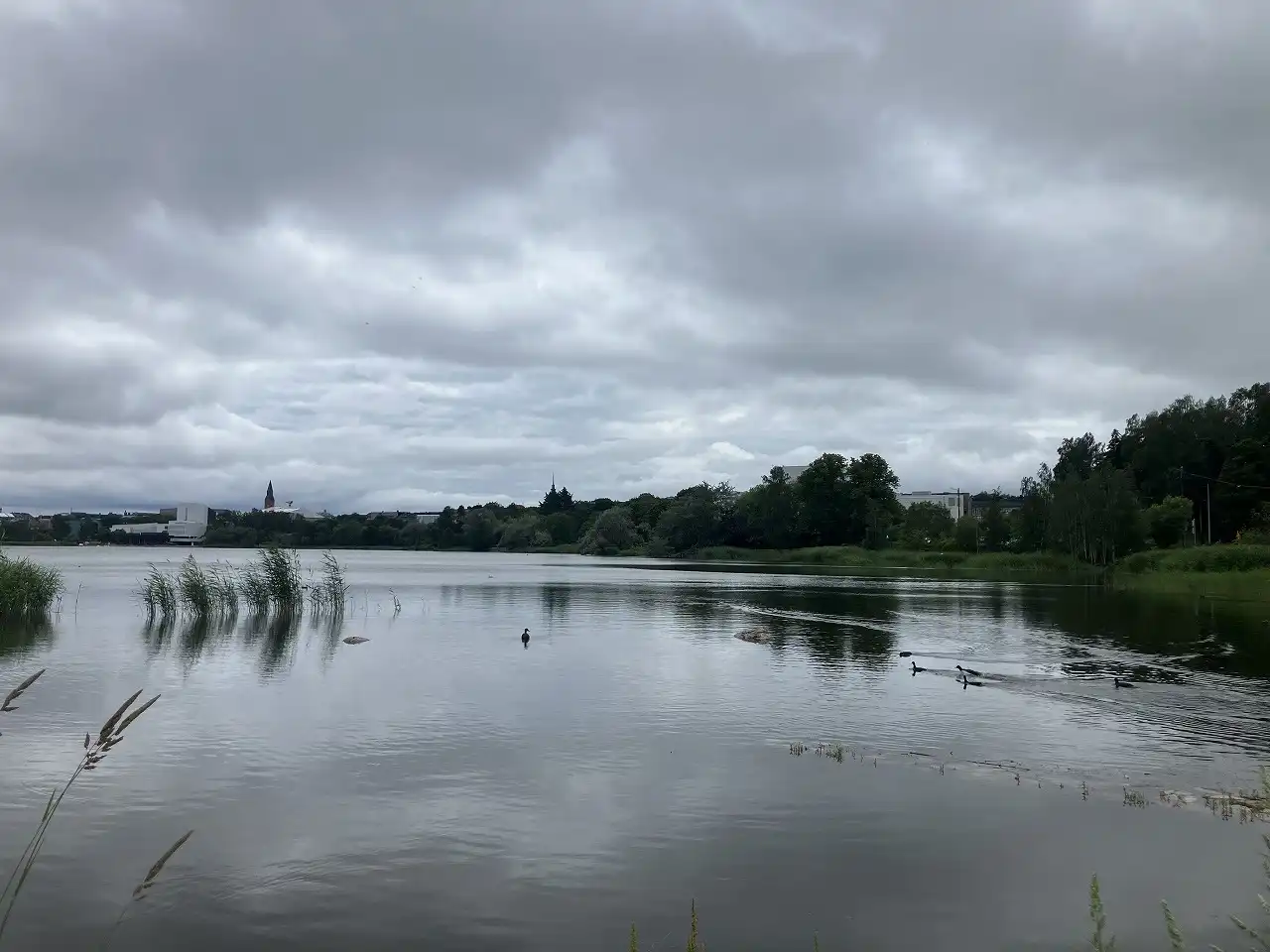 トゥール湾 Töölönlahti