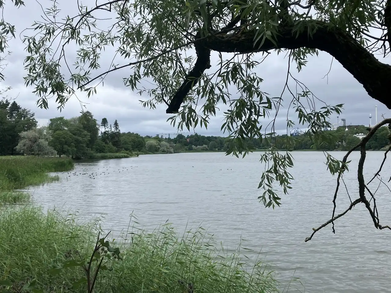 トゥール湾 Töölönlahti