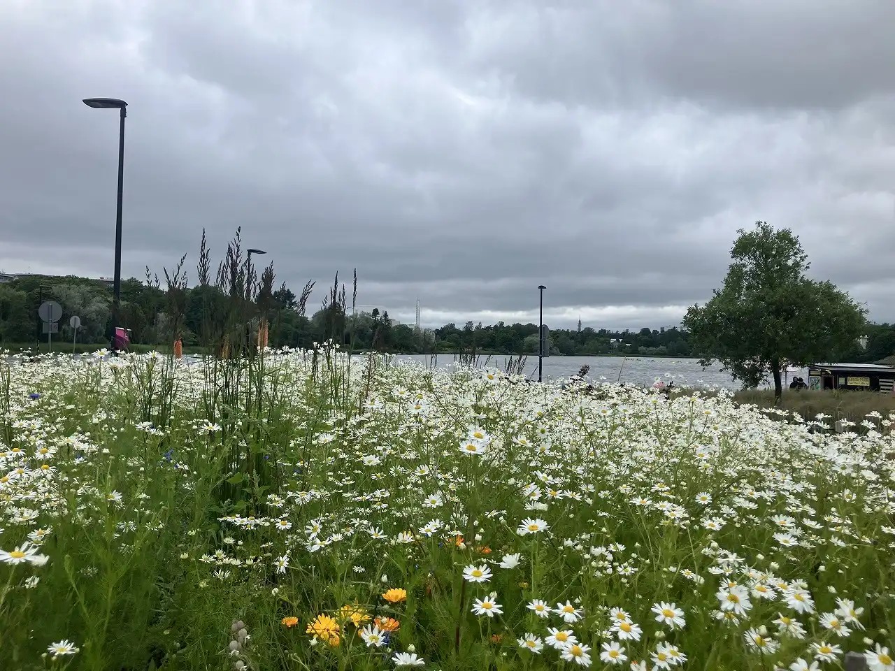 ヘスペリア公園 Hesperianpuisto