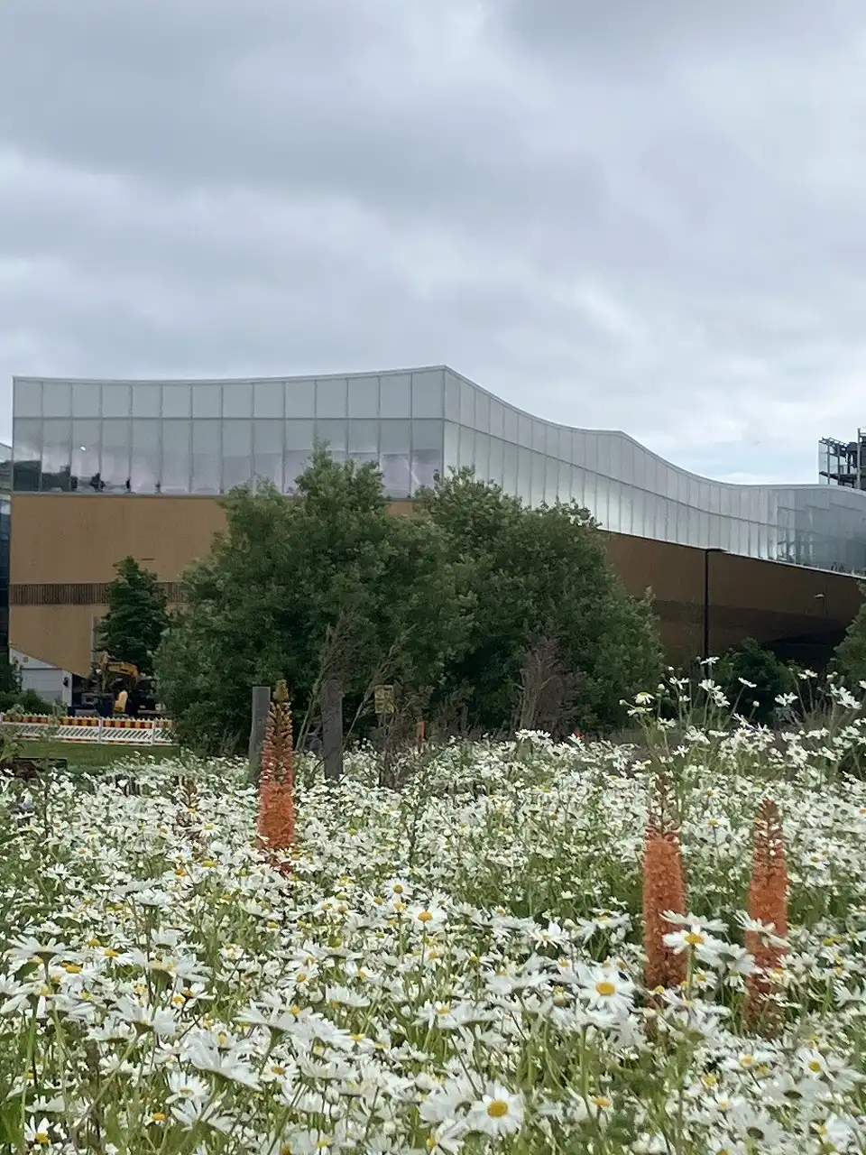 ヘスペリア公園 Hesperianpuisto