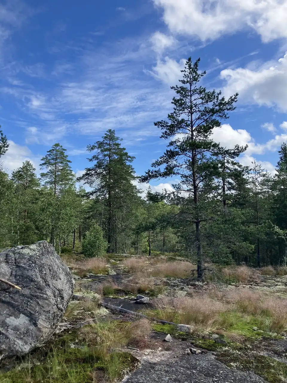 ヌークシオ国立公園 Nuuksion kansallispuisto