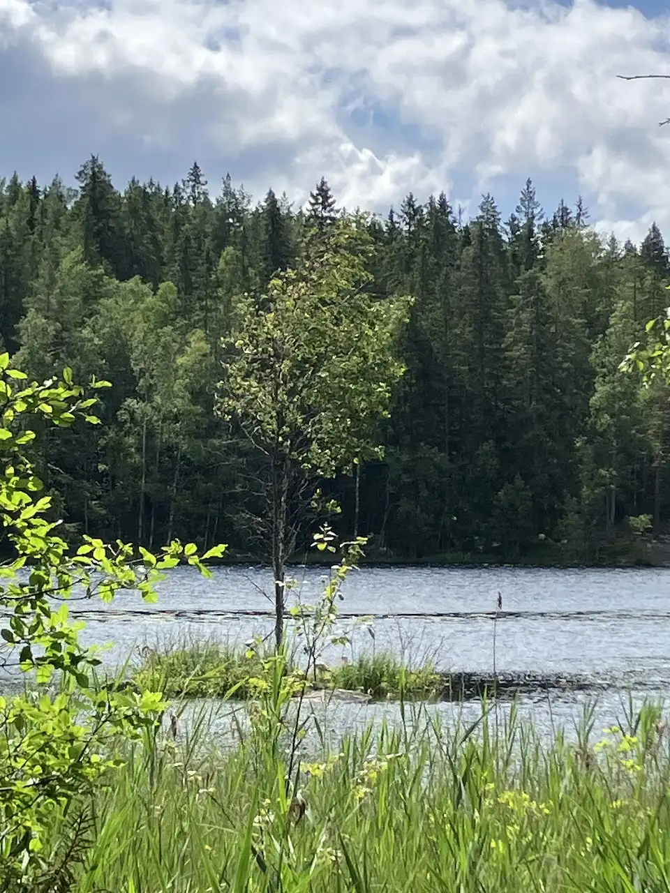Nuuksion kansallispuisto / Saarilampi