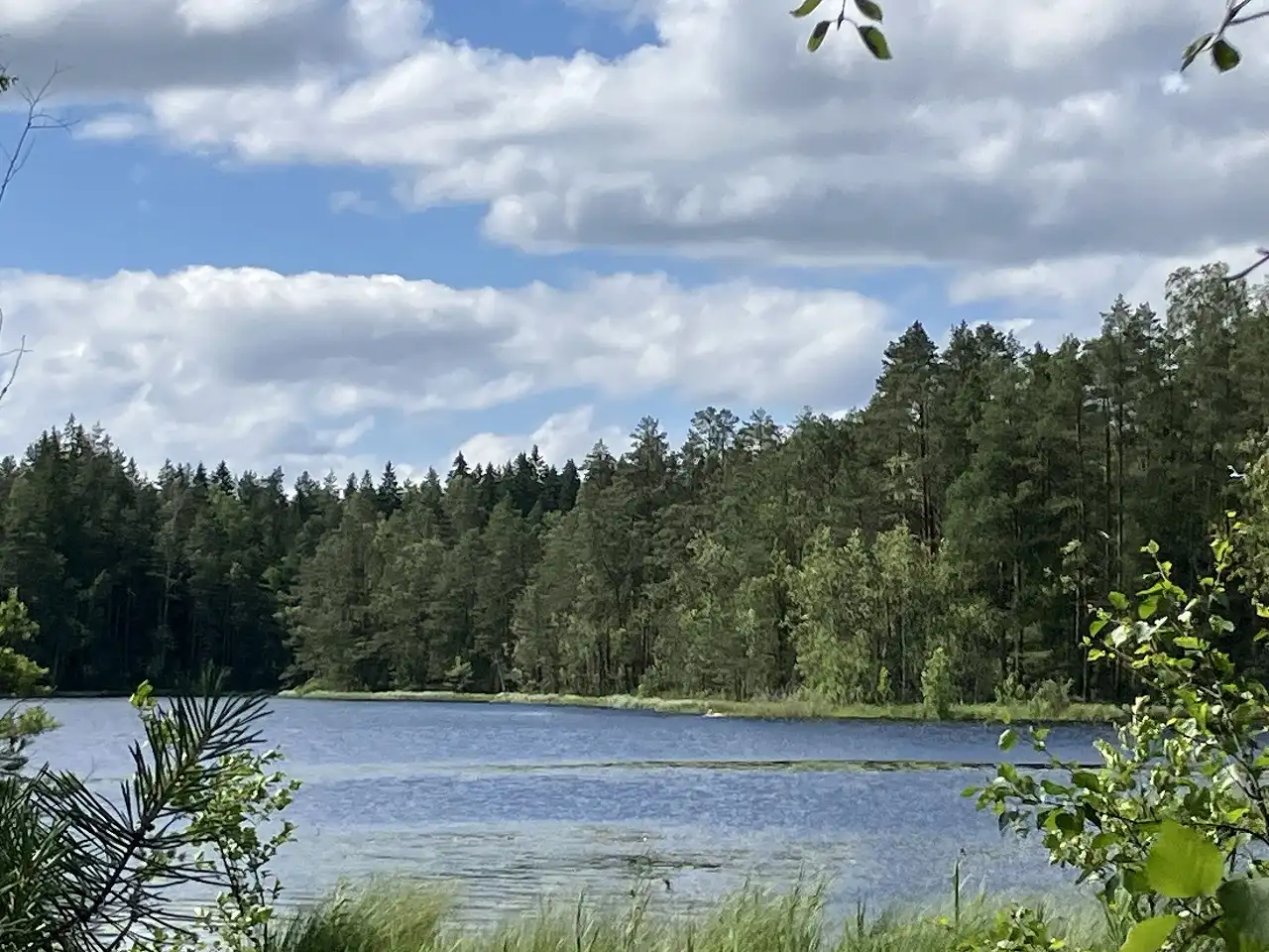 Nuuksion kansallispuisto / Saarilampi