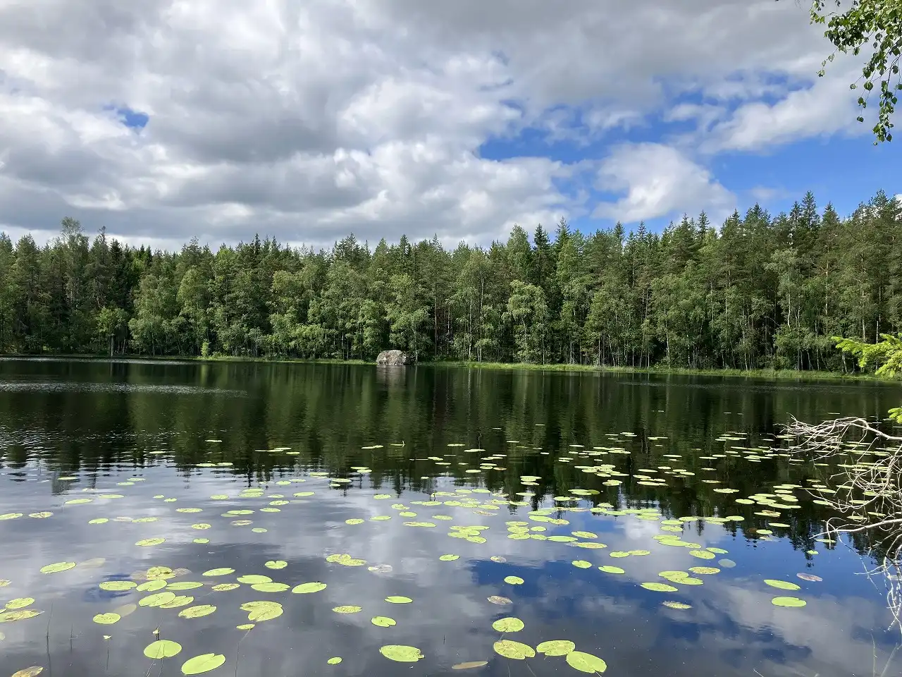 Nuuksion kansallispuisto / Saarilampi