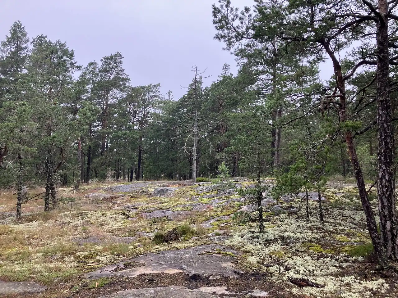 ポルッカラ半島 Porkkalanniemi
