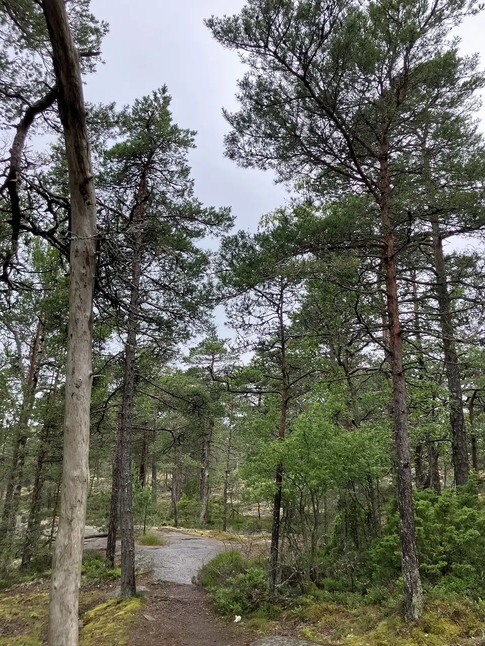 ポルッカラ半島 Porkkalanniemi