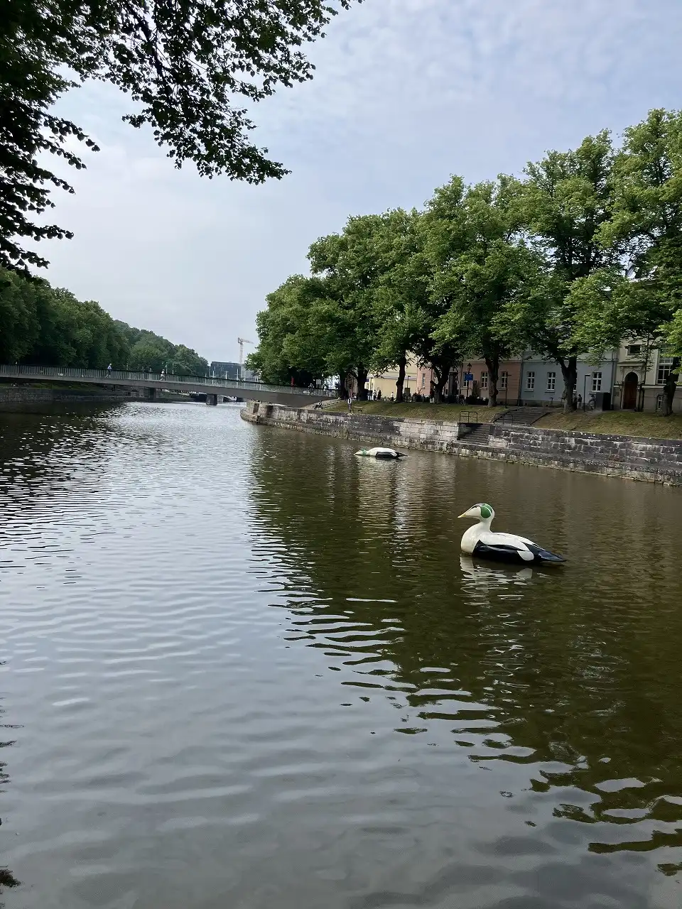 アウラ川 Aurajoki