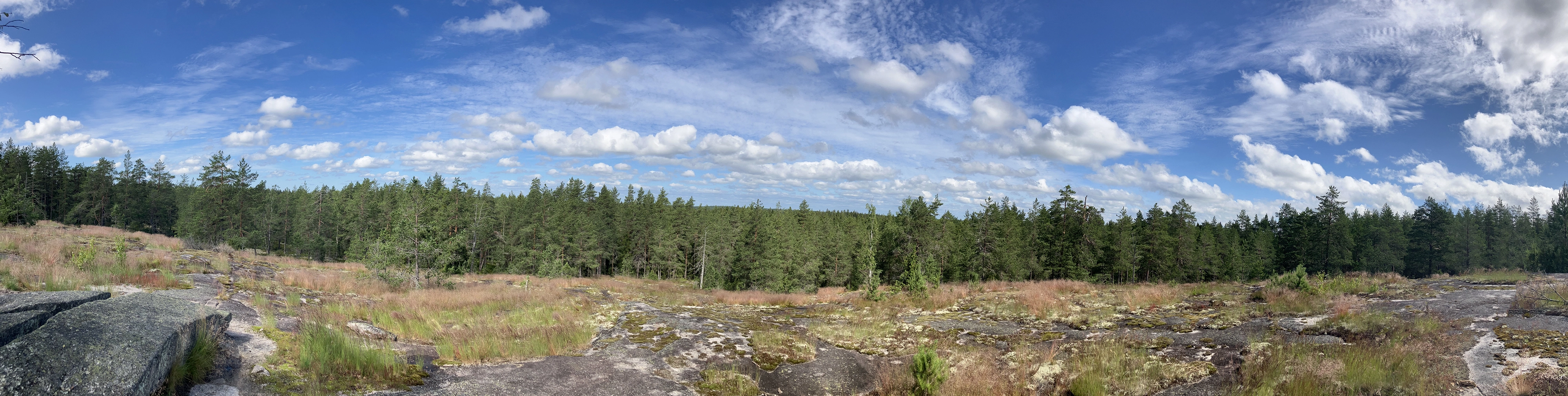 ヌークシオ国立公園 Nuuksion kansallispuisto