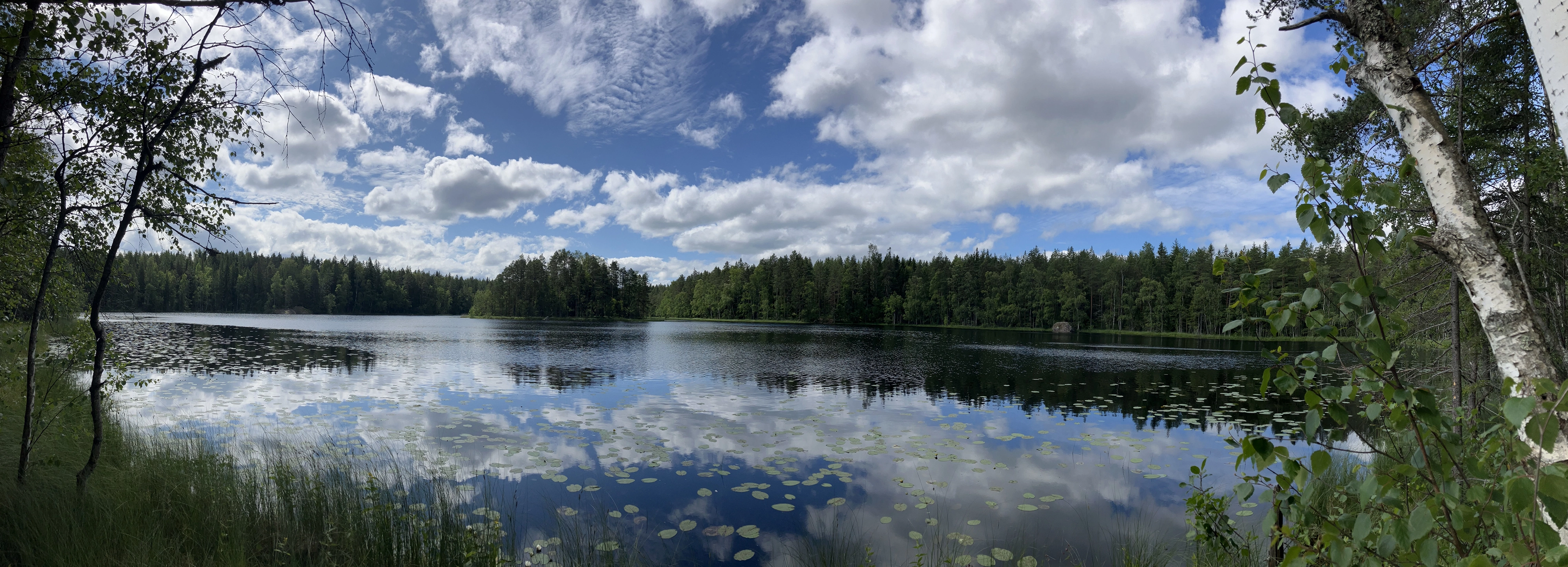 Nuuksion kansallispuisto / Saarilampi