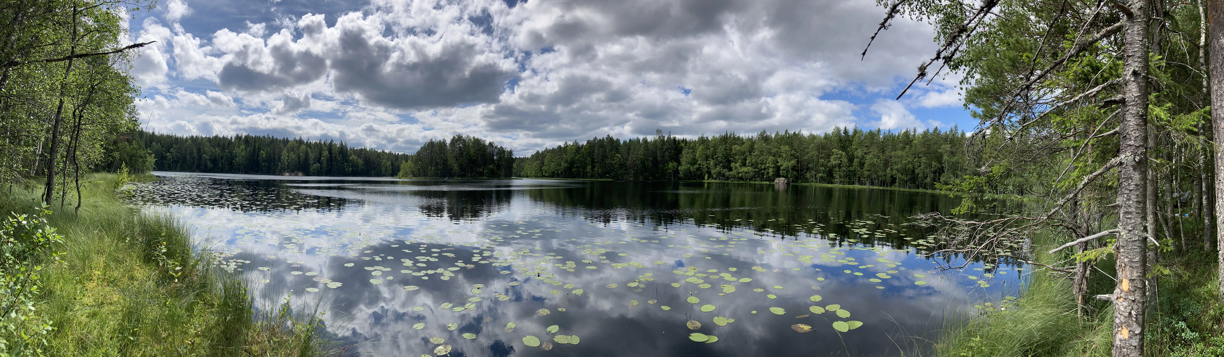 Nuuksion kansallispuisto / Saarilampi