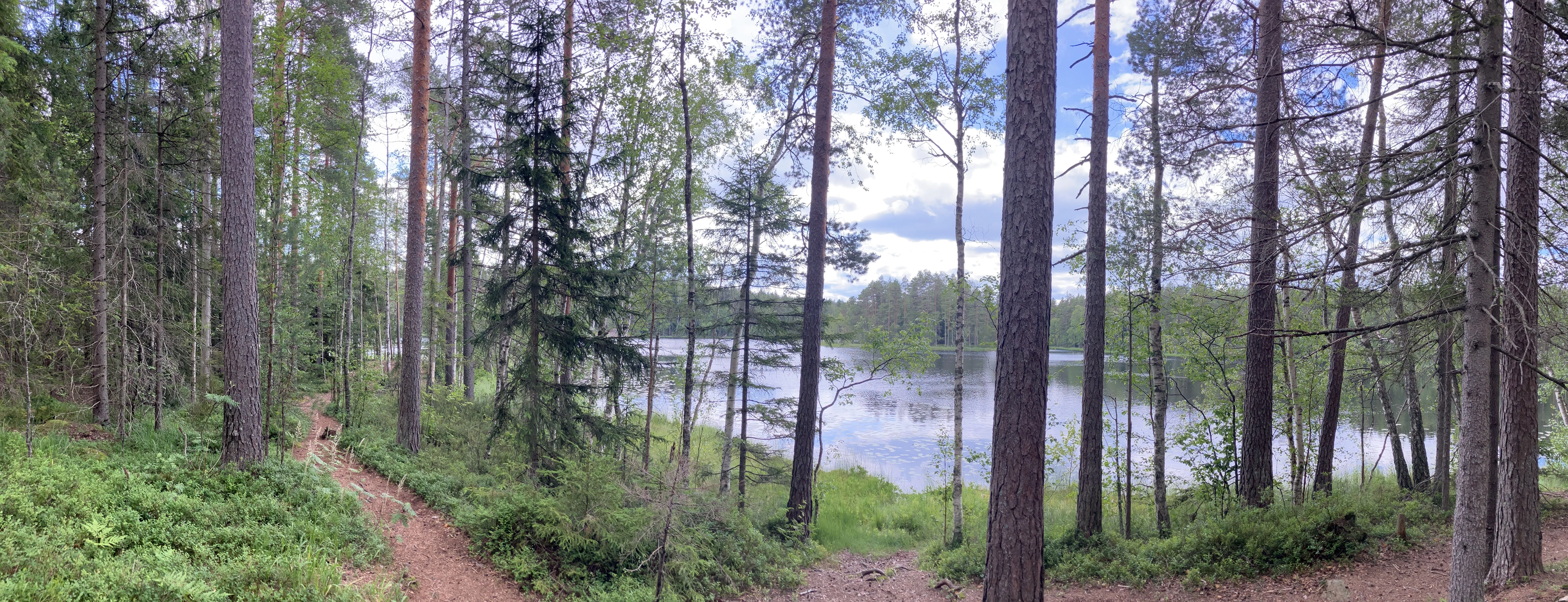 Nuuksion kansallispuisto / Saarilampi