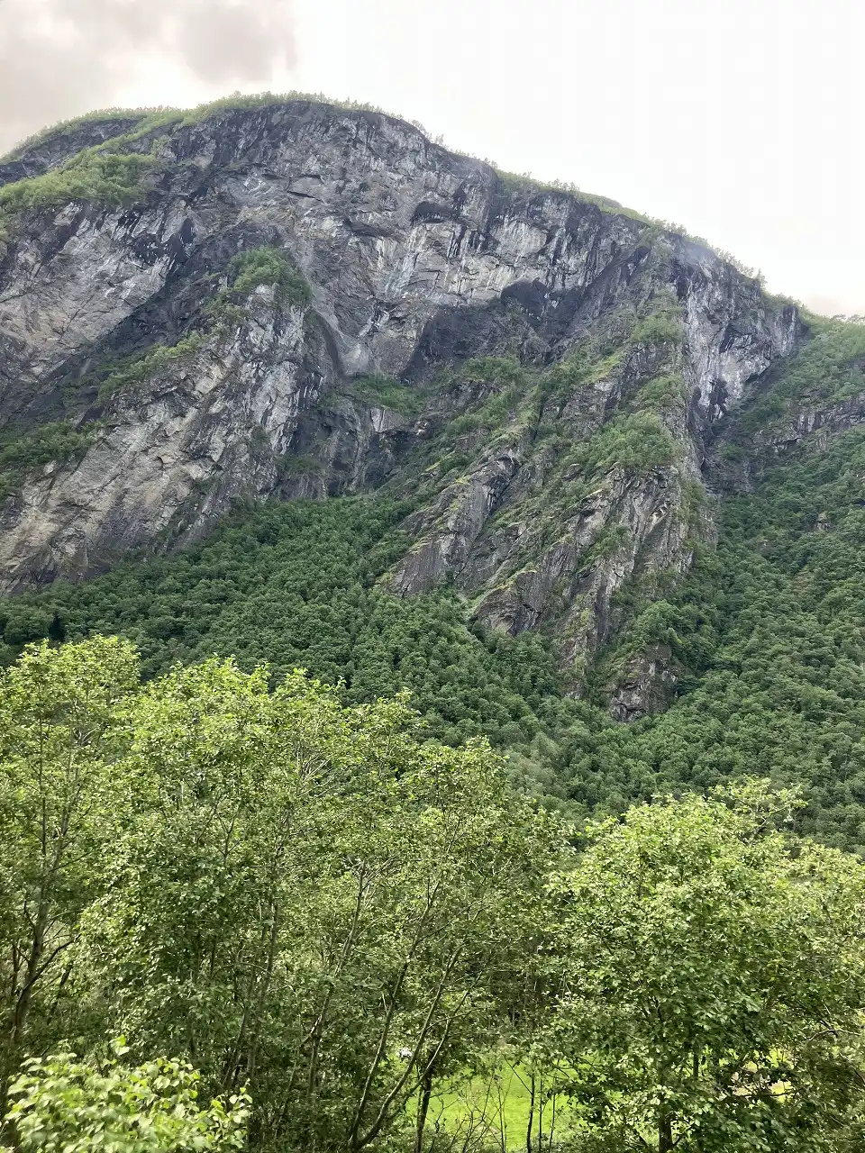フロム鉄道線 Flåmsbana
