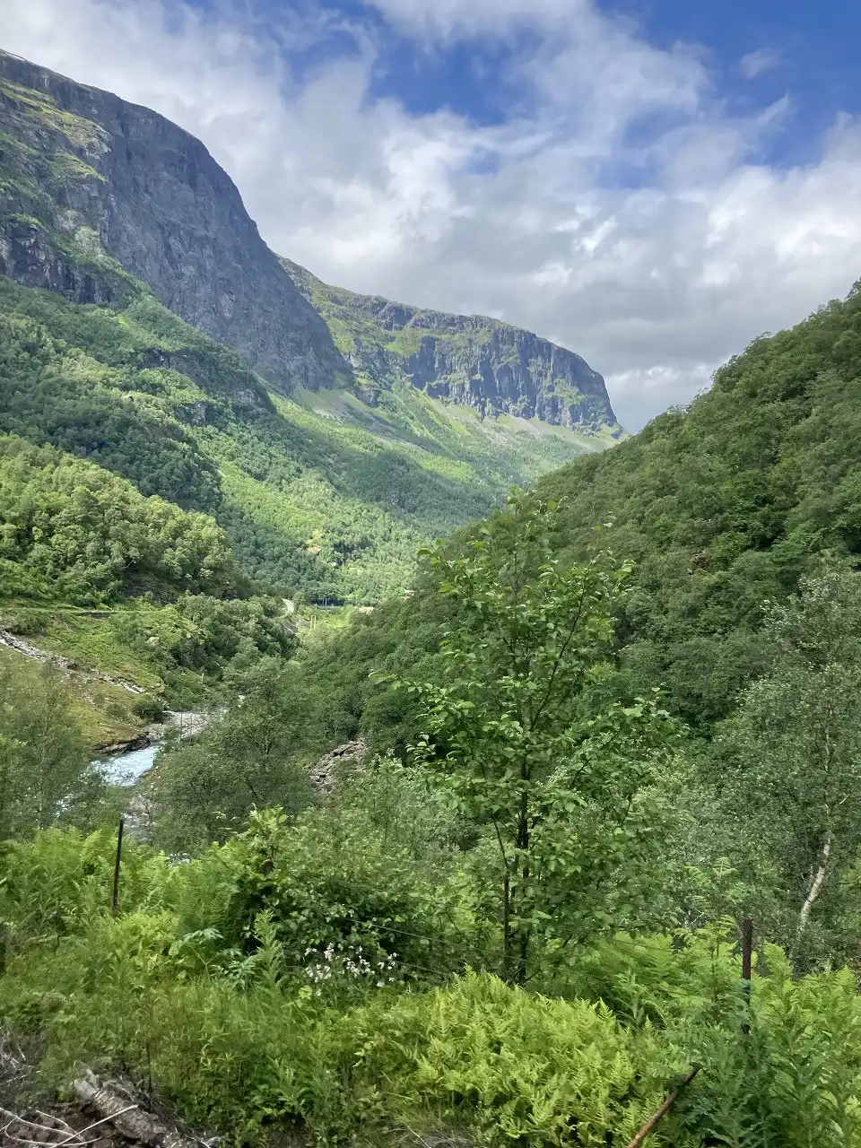 フロム鉄道線 Flåmsbana