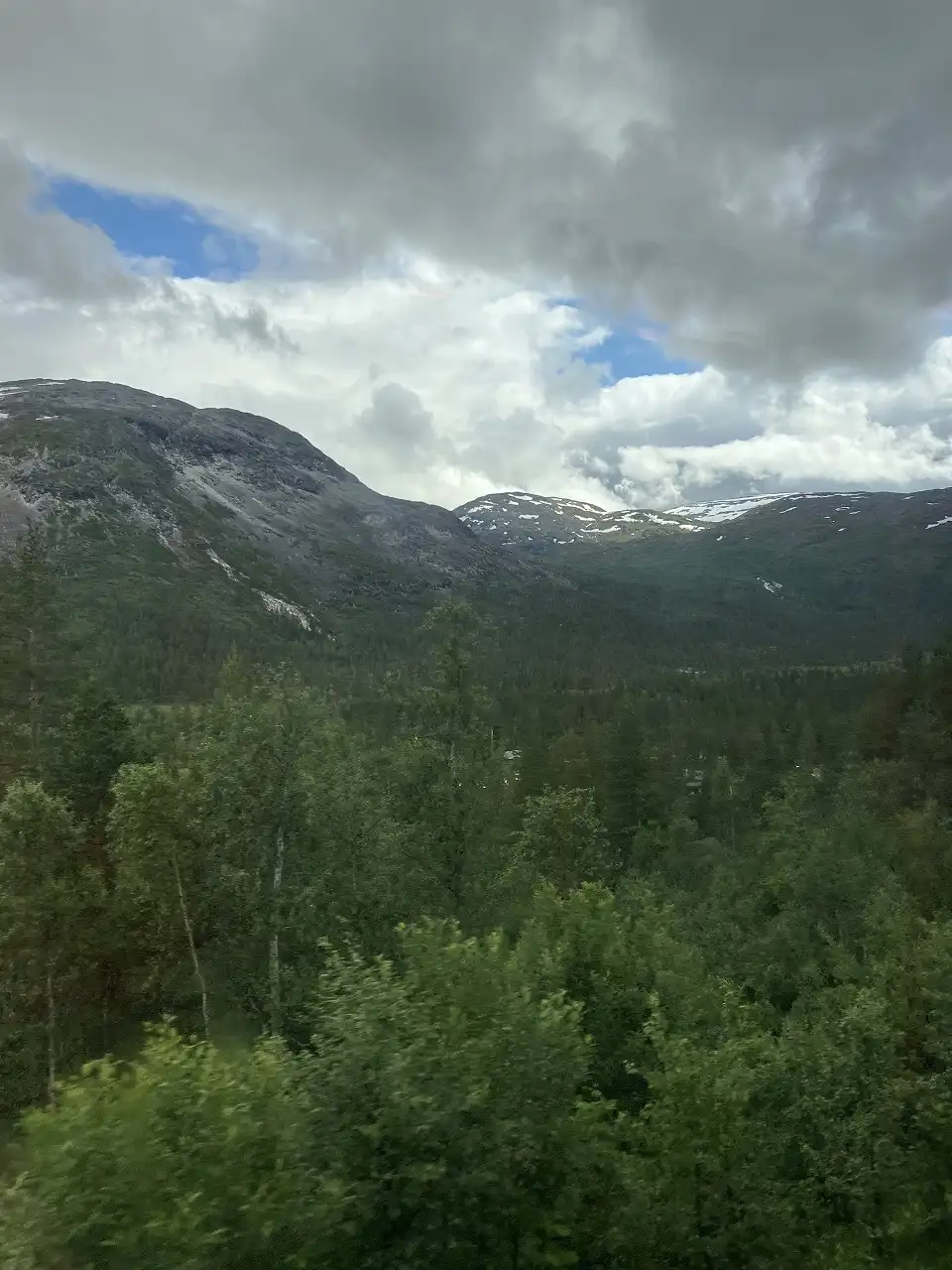 ベルゲン線 Bergensbanen