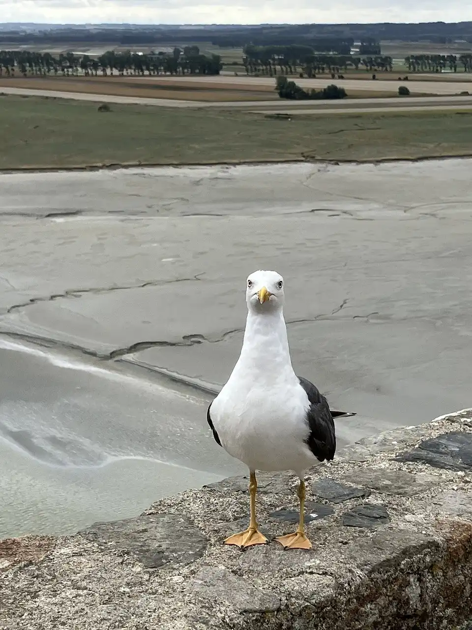 モン・サン＝ミシェル Mont Saint-Michel