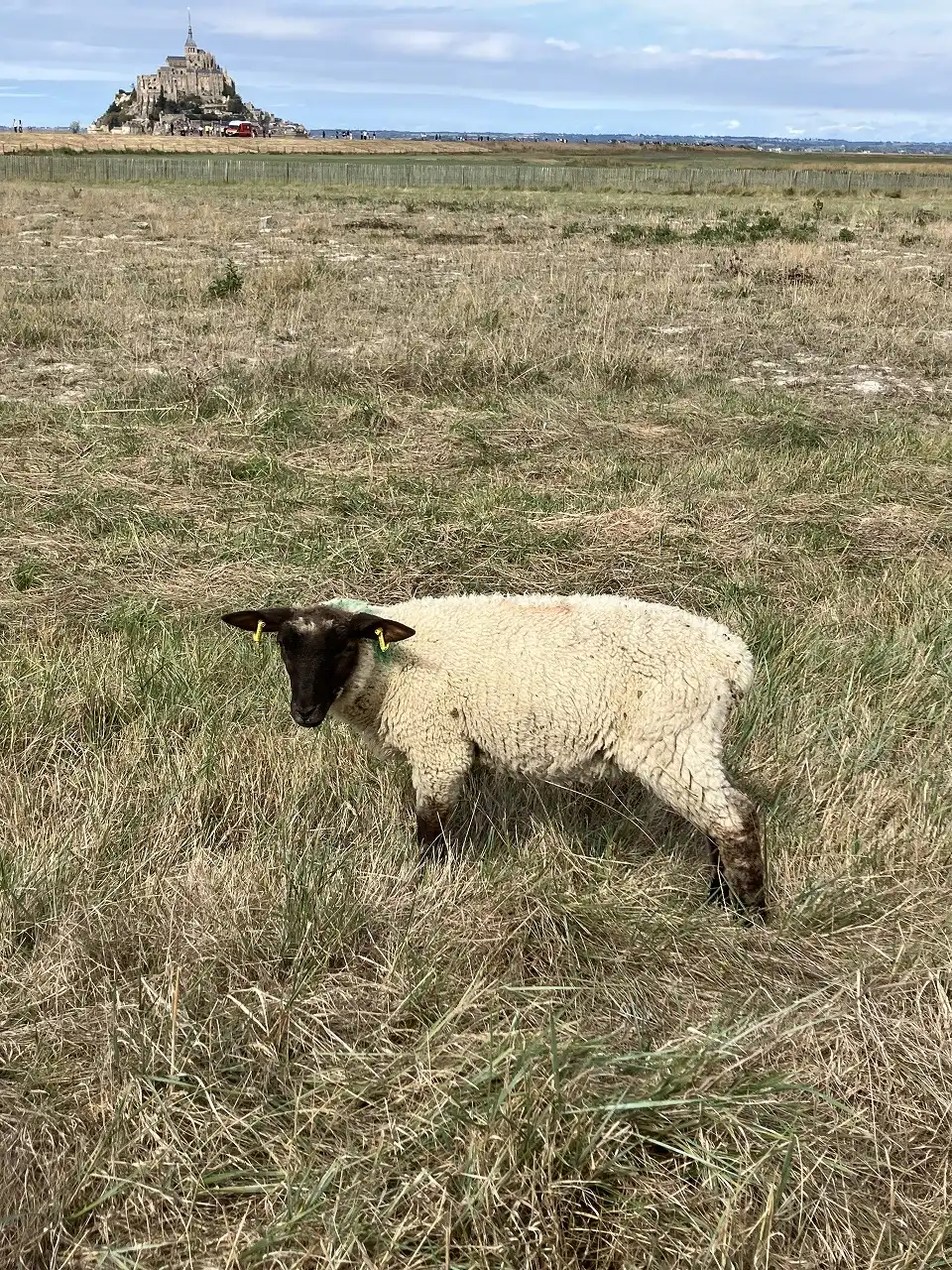 モン・サン＝ミシェル Mont Saint-Michel