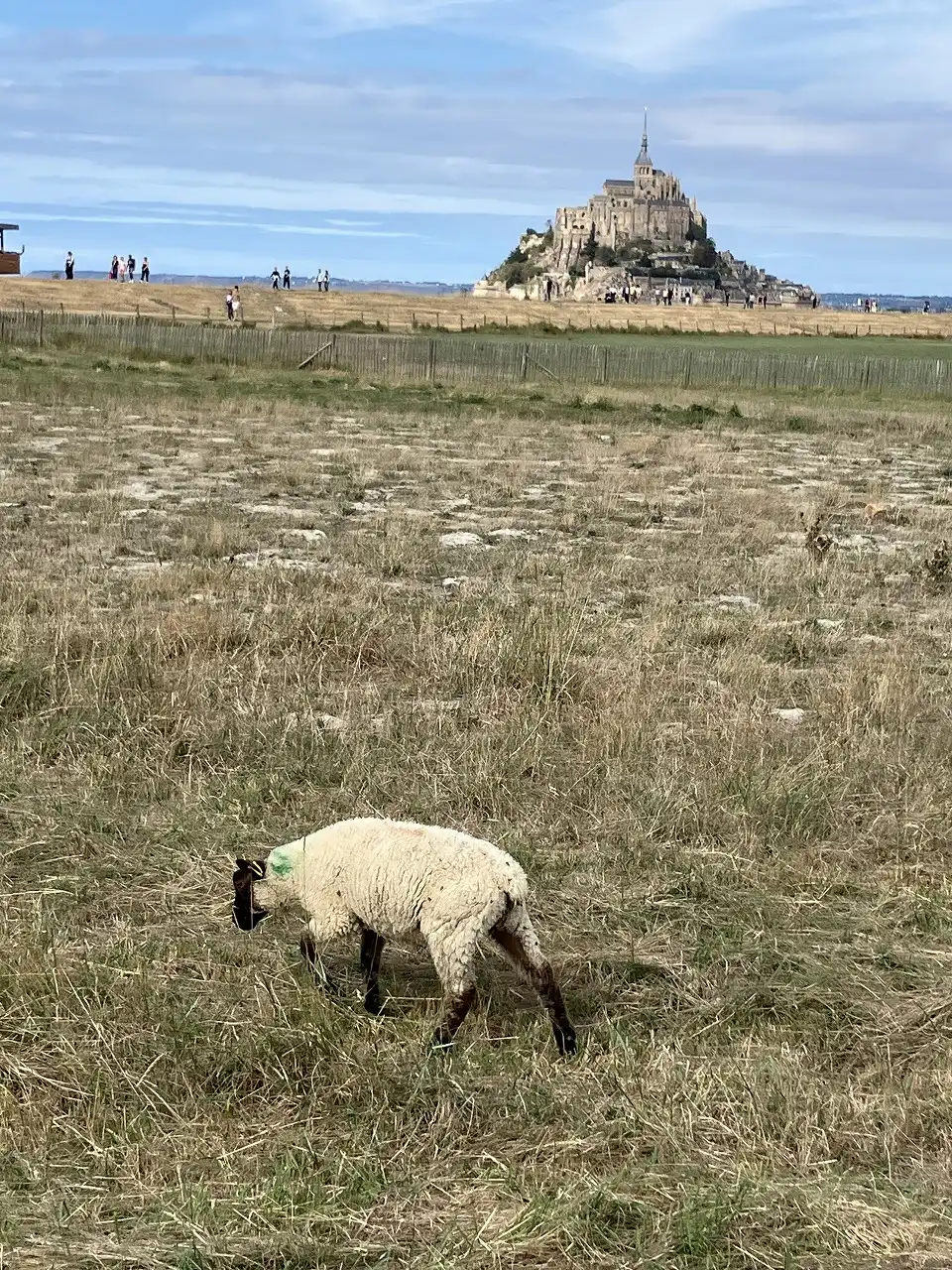 モン・サン＝ミシェル Mont Saint-Michel