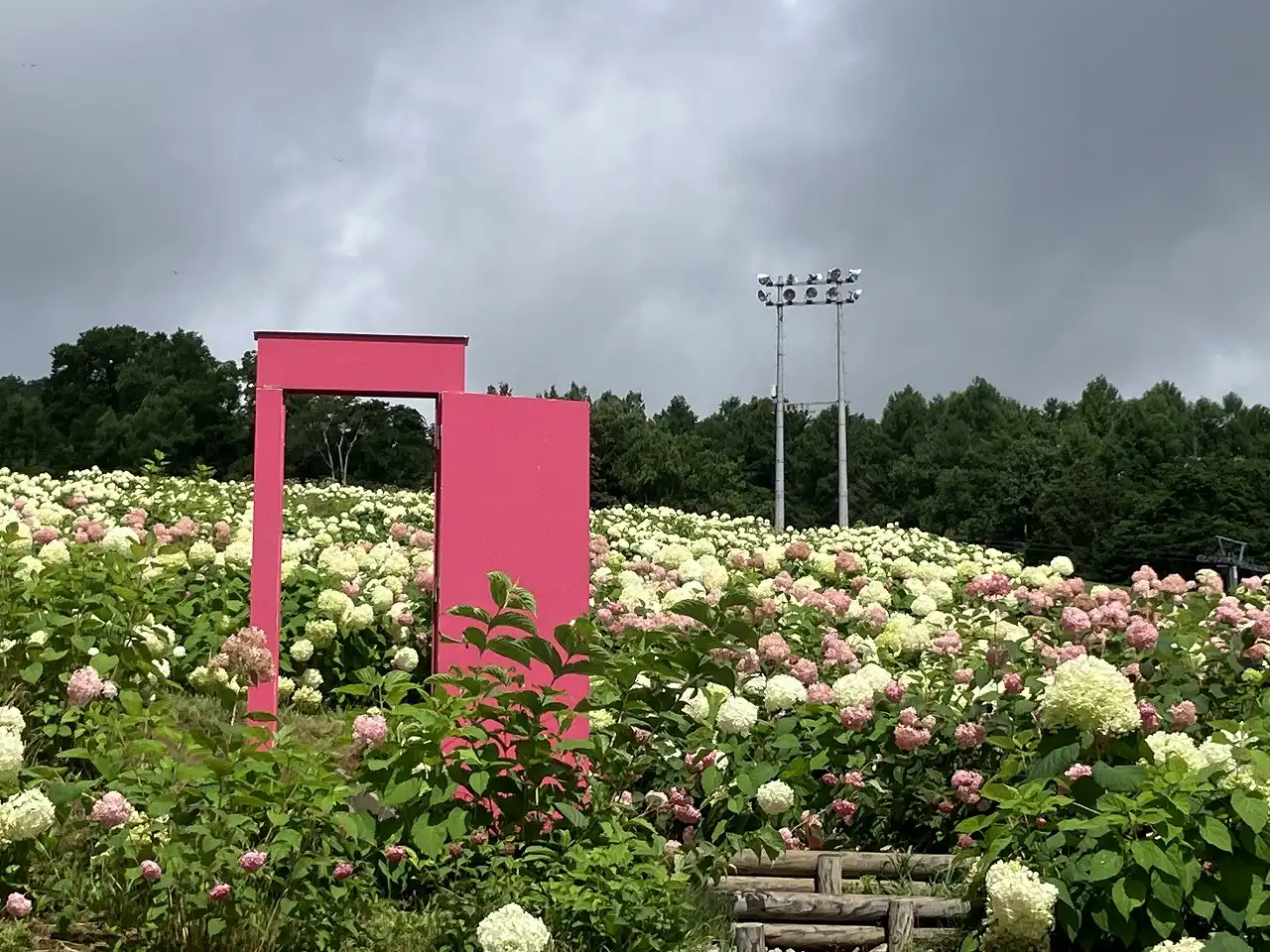 ルスツリゾート